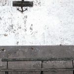 Păsări migratoare deasupra Prutului de Jos
