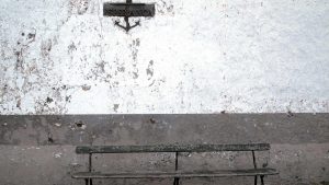 Păsări migratoare deasupra Prutului de Jos